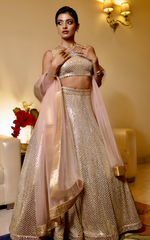 Load image into Gallery viewer, Golden Glamour: Heavy Sequins Embroidered Lehenga with Organza Dupatta