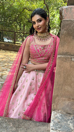 Load image into Gallery viewer, RAAS- Pink lehenga