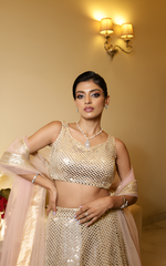 Load image into Gallery viewer, Golden Glamour: Heavy Sequins Embroidered Lehenga with Organza Dupatta