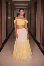 Load image into Gallery viewer, Enchanting Ombré Tulle Lehenga with Hand Embroidered Blouse