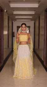 Load image into Gallery viewer, Enchanting Ombré Tulle Lehenga with Hand Embroidered Blouse