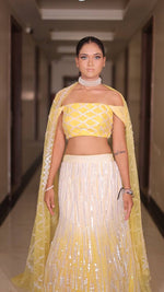 Load image into Gallery viewer, Enchanting Ombré Tulle Lehenga with Hand Embroidered Blouse