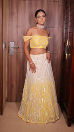 Load image into Gallery viewer, Enchanting Ombré Tulle Lehenga with Hand Embroidered Blouse