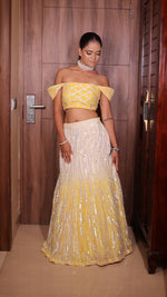 Load image into Gallery viewer, Enchanting Ombré Tulle Lehenga with Hand Embroidered Blouse