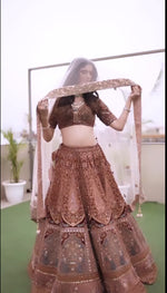 Load image into Gallery viewer, &quot;Exquisite Grandeur: The Multicoloured Bridal Velvet Lehnga by Tanu Khera Designs&quot;
