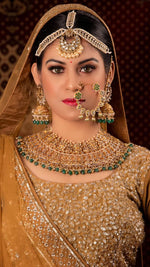 Load image into Gallery viewer, &quot;Exquisite Grandeur: The Multicoloured Bridal Velvet Lehnga by Tanu Khera Designs&quot;
