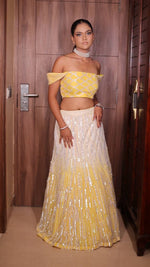 Load image into Gallery viewer, Enchanting Ombré Tulle Lehenga with Hand Embroidered Blouse
