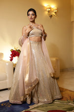 Load image into Gallery viewer, Golden Glamour: Heavy Sequins Embroidered Lehenga with Organza Dupatta
