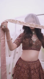 Load and play video in Gallery viewer, &quot;Exquisite Grandeur: The Multicoloured Bridal Velvet Lehnga by Tanu Khera Designs&quot;
